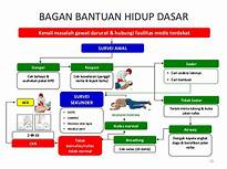 Content image for Bantuan Hidup Dasar Adalah PDF: Panduan Lengkap Program Bantuan Hidup Dasar